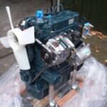 KUBOTA D902 variklis (NAUJAS)