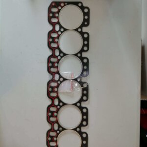 Galvos tarpine - ENT010072