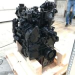 CNH Tier 3A 84534643, 47682868 variklis, tinka New Holland TD5.110, Case JX110 (Naujas)