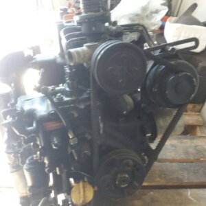 YANMAR 3TN70 variklis (naudotas)