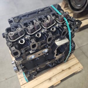 IVECO / FPT F4GE0404A*D655 variklio blokas su vidiniais komponentais ir cilindrų galva (NAUJAS)