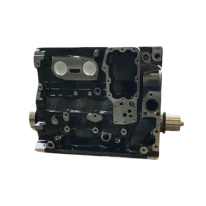 IVECO / FPT F4AE0481/0482 - TECTOR/BUS - variklio blokas su vidiniais komponentais (NAUJAS)