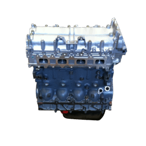 IVECO / FPT F1CE3481 DAILY 3.0 - EURO 5 -  variklio blokas su vidiniais komponentais ir galvute (NAUJAS)