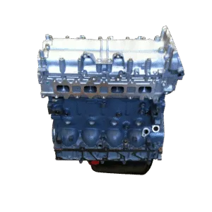 IVECO / FPT F1CE3481 DAILY 3.0 - EURO 5 -  variklio blokas su vidiniais komponentais ir galvute (NAUJAS)