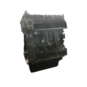 IVECO / FPT F1CE3481E - DUCATO 3.0 HPI variklio blokas su vidiniais komponentais ir galvute 5801466143 (NAUJAS)