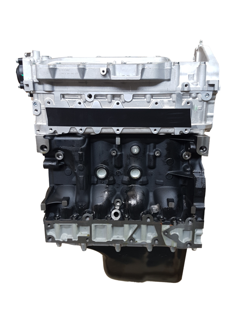 IVECO / FPT F1AFL411 - DAILY 2.3HPI E6(C.MAN/BAS. variklio blokas su vidiniais komponentais ir galvute (NAUJAS)