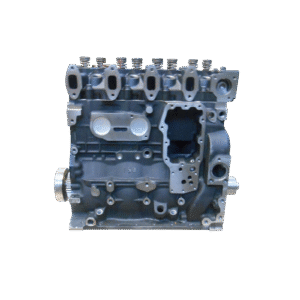 IVECO / FPT F4GE0484C*D650 - 4 CYL. variklio blokas su vidiniais komponentais ir galvute (NAUJAS)