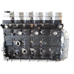 IVECO / FPT F4AE0681 - TECTOR 6 CYL - variklio blokas su vidiniais komponentais ir galvute 8097909 (NAUJAS)