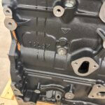 IVECO / FPT F4AFE611/612 - TECTOR E6 / BUS variklio blokas su vidiniais komponentais ir galvute (NAUJAS)