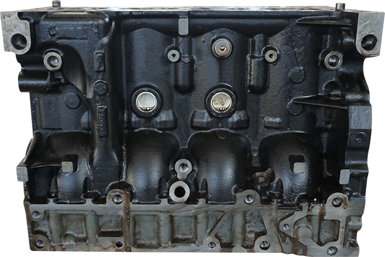 IVECO / FPT F1AE0481/3481 variklio blokas 5801488491 (NAUJAS)