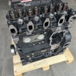 IVECO / FPT 80440TC, F4GE0454C, 504384520 variklio blokas su vidiniais komponentais (NAUJAS)