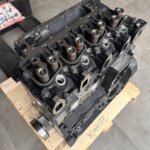 IVECO / FPT 80440TC, F4GE0454C, 504384520 variklio blokas su vidiniais komponentais (NAUJAS)