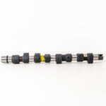 Paskirstymo velenas 50007568 Kolbenschmidt DOBLO’/PUNTO/147/STILO 1.9JTD (Naujas)